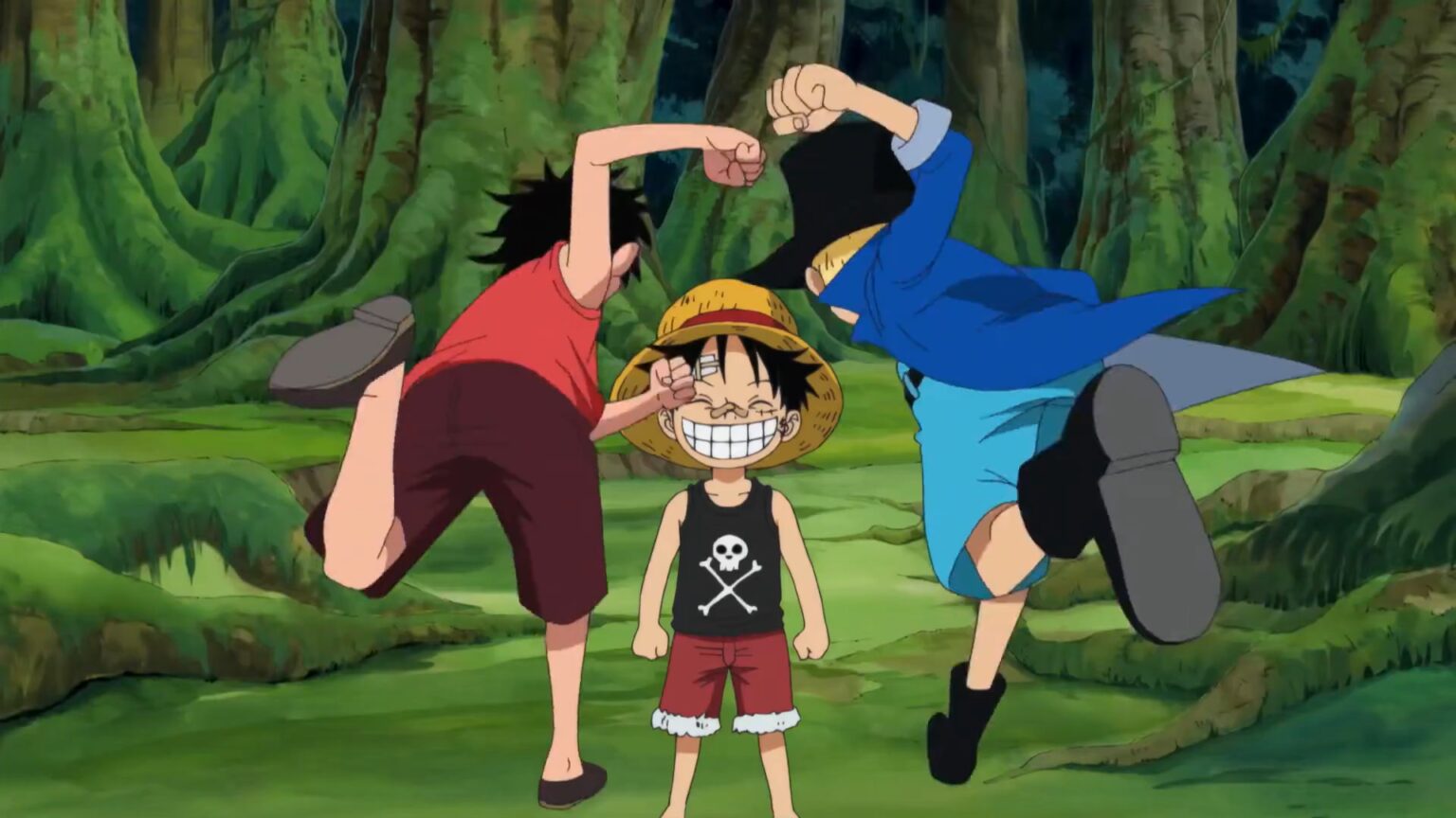 Luffy gets hit by his older brothers Sabo and Ace in Episode 493