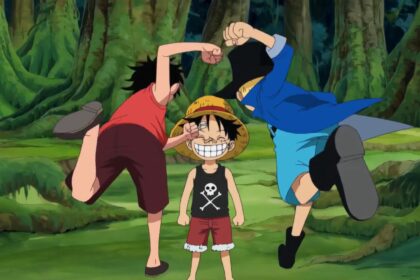 Luffy gets hit by his older brothers Sabo and Ace in Episode 493