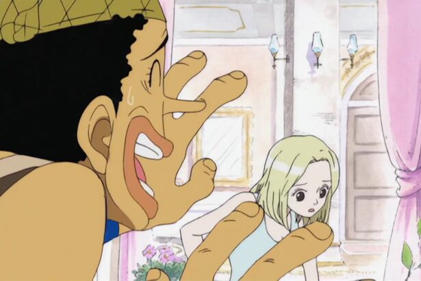 Syrup Island Arc One piece Episode 9.