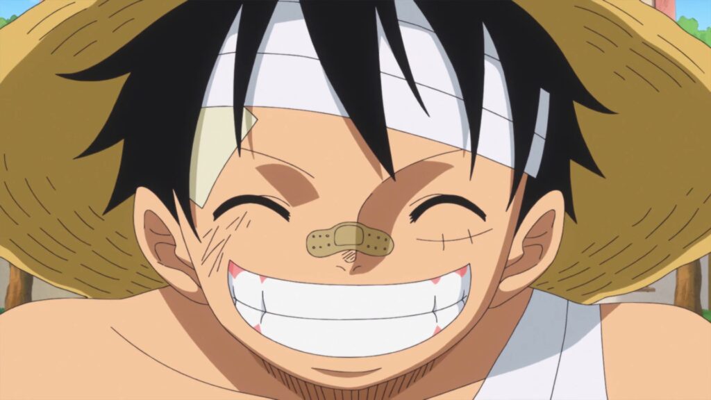 One Piece Monkey D luffy is known as Straw Hat.