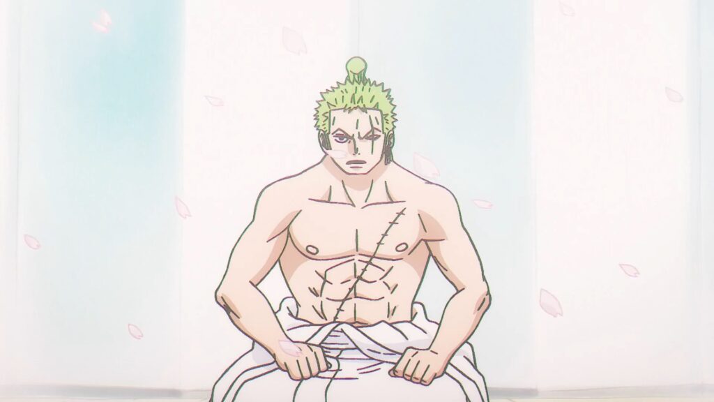 One Piece 1000 From a honorless Bounty hunter zoro Became a loyal and trusted companion of the pirate King.