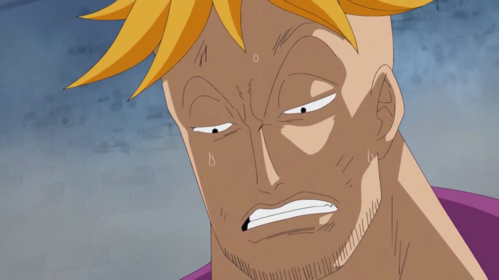 One Piece 489 Despite his amazing healing abilities Marco is in Pain. Pain of Losing his capitain, friends and territories.