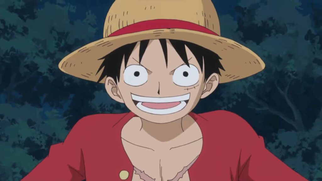 One Piece Monkey D.Luffy the Captain of Straw Hats