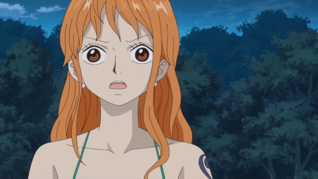 One Piece Nami is known for her ability to plan heists.