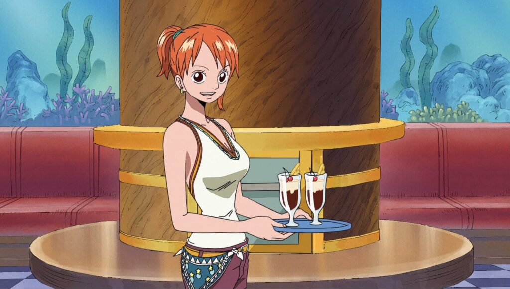 One Piece Nami the Navigator