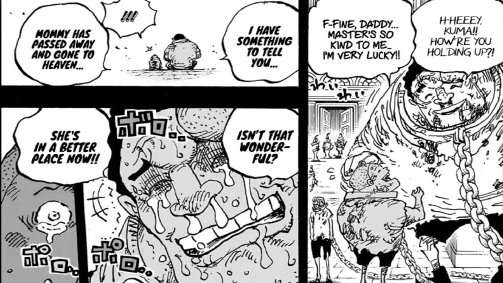 One Piece 1095 Kuma is one of the last bloodline called Buccaneers.