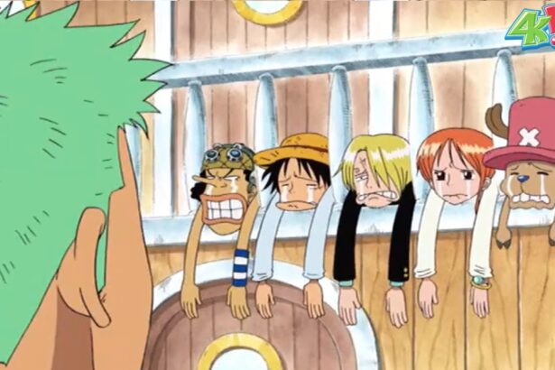 One Piece 4Kids was one of the major fails of the Shonen World.