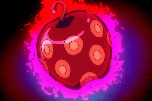 One Piece how a SMILE fruit looks like