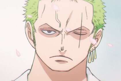 One Piece 892 There is no official story of how Zoro Lost his eye.