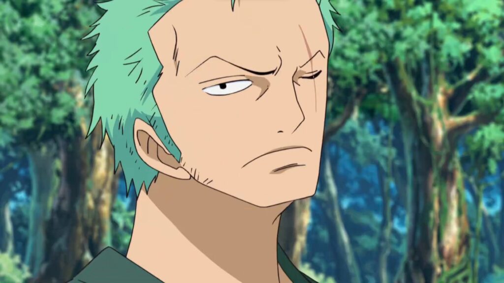 One Piece Roronoa Zoro the Pirate Hunter