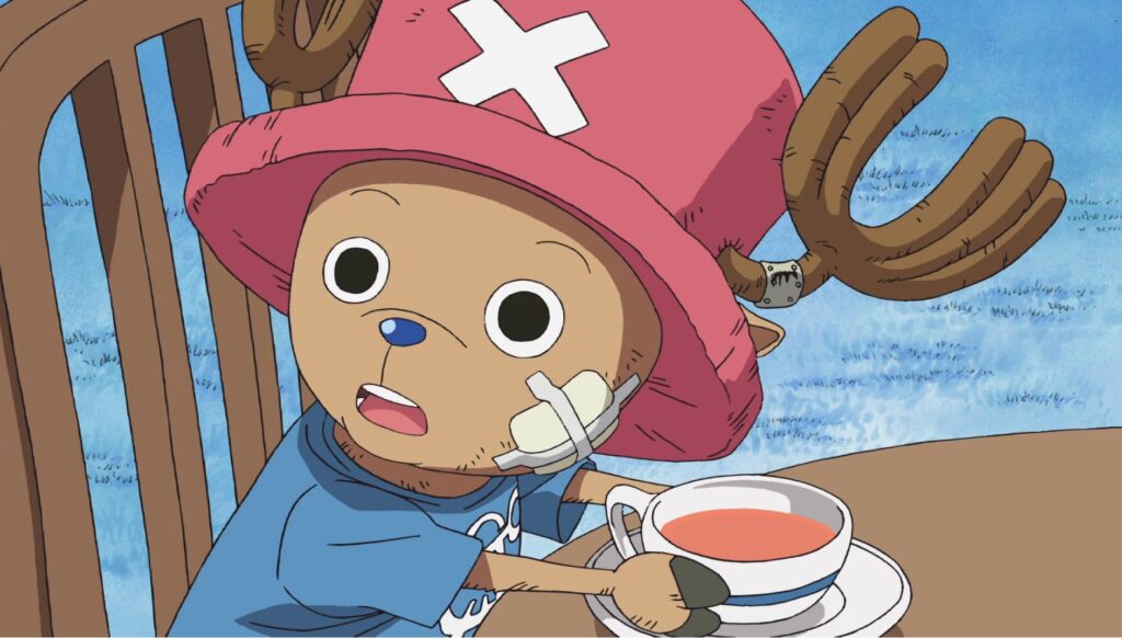 One Piece 315 Tony Tony Chopper is the medic of the Straw hats Pirates.