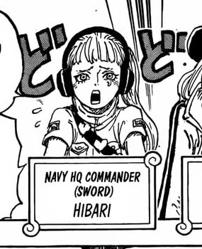 One Piece 1089 Hibari is a member of SWORD.