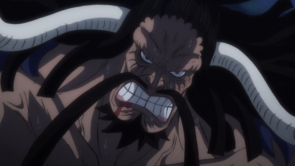 One Piece Kaido is the leader of Beast pirates who ruled wano.
