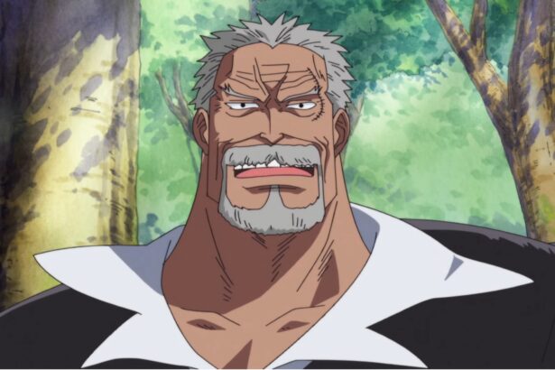 One Piece Monkey D. Garp