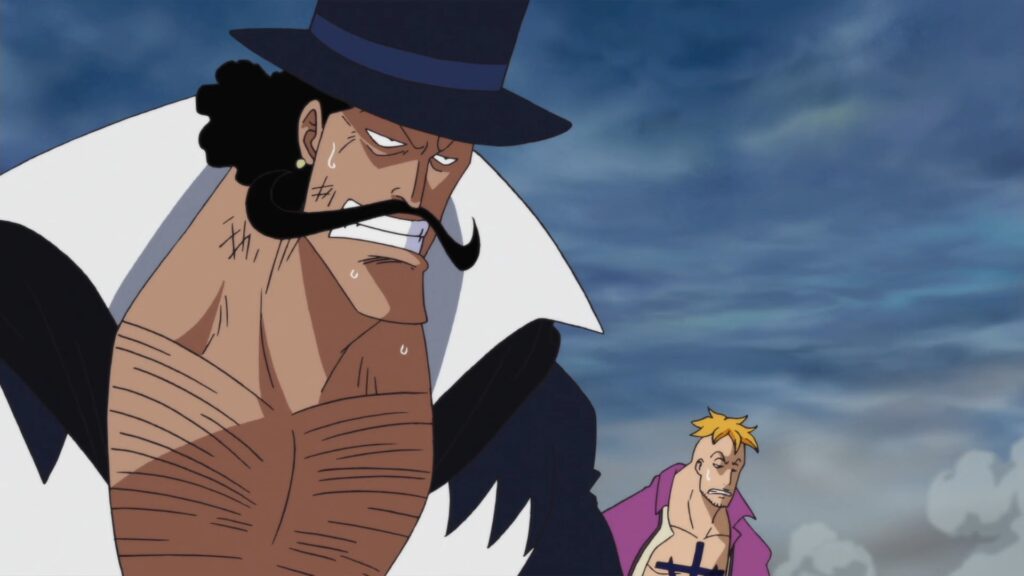 One Piece Vista is said to be on the same level with Mihawk.