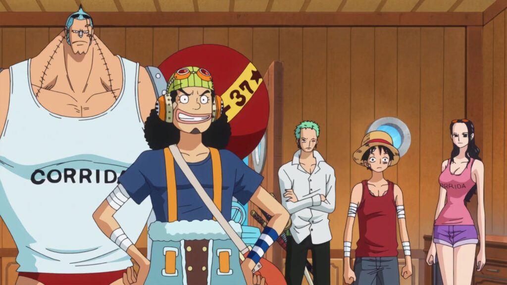 One Piece The Straw Hats Pirates are the core of the Fleet.