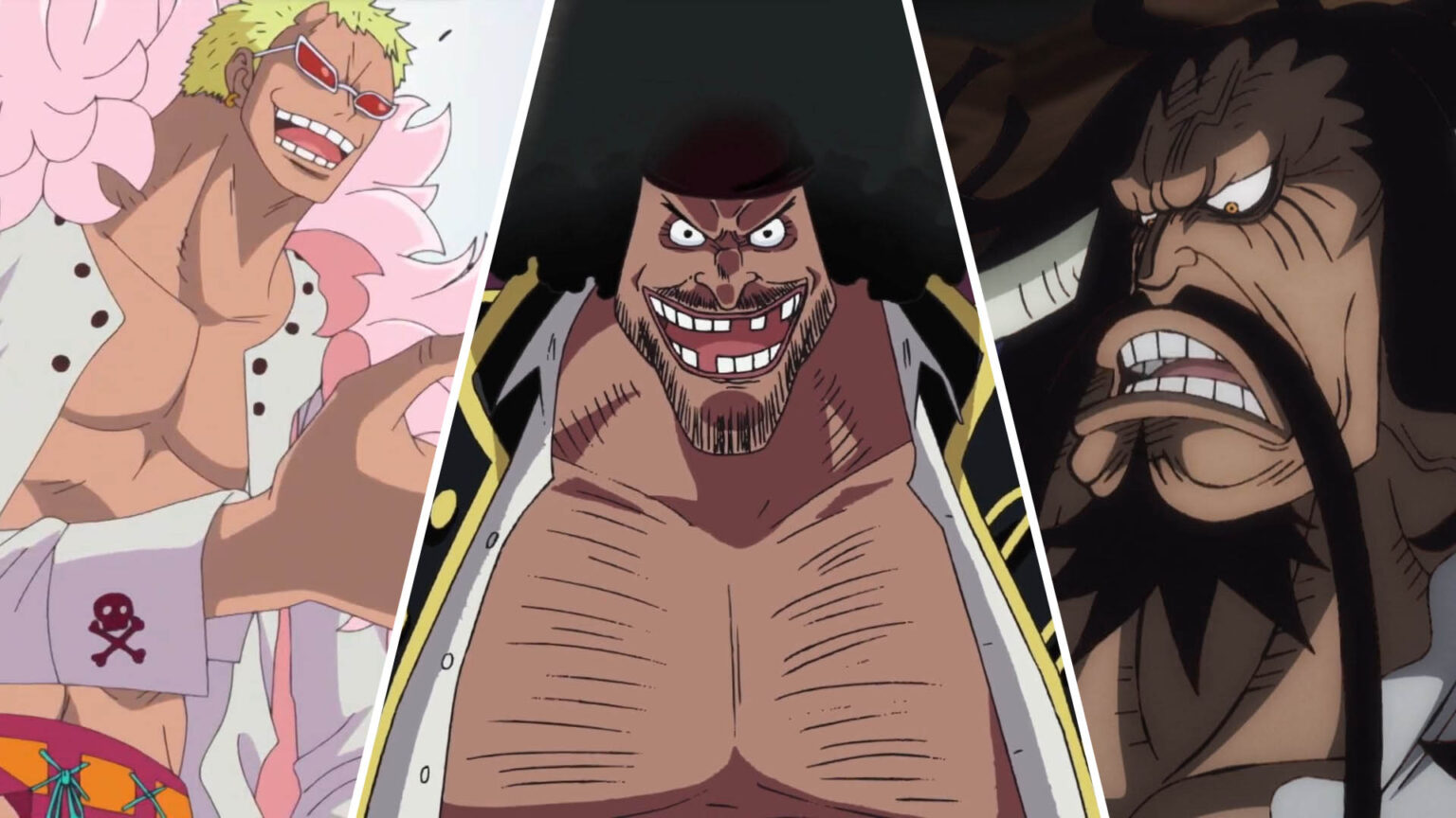 One Piece Characters that shouldn't be Pirate King